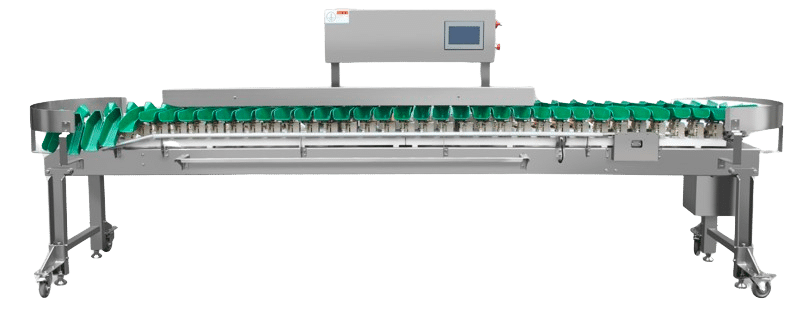 Multi-Tray Weight Sorting System